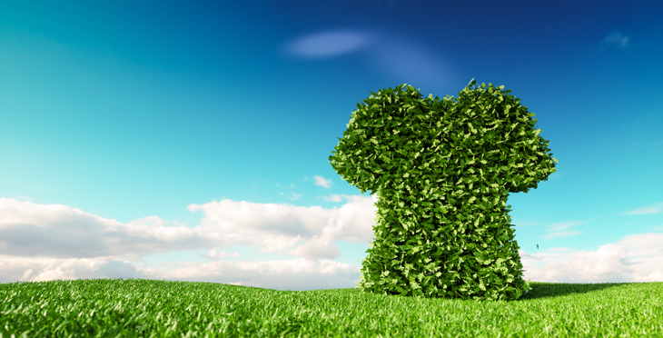 Efforts toward a sustainable society